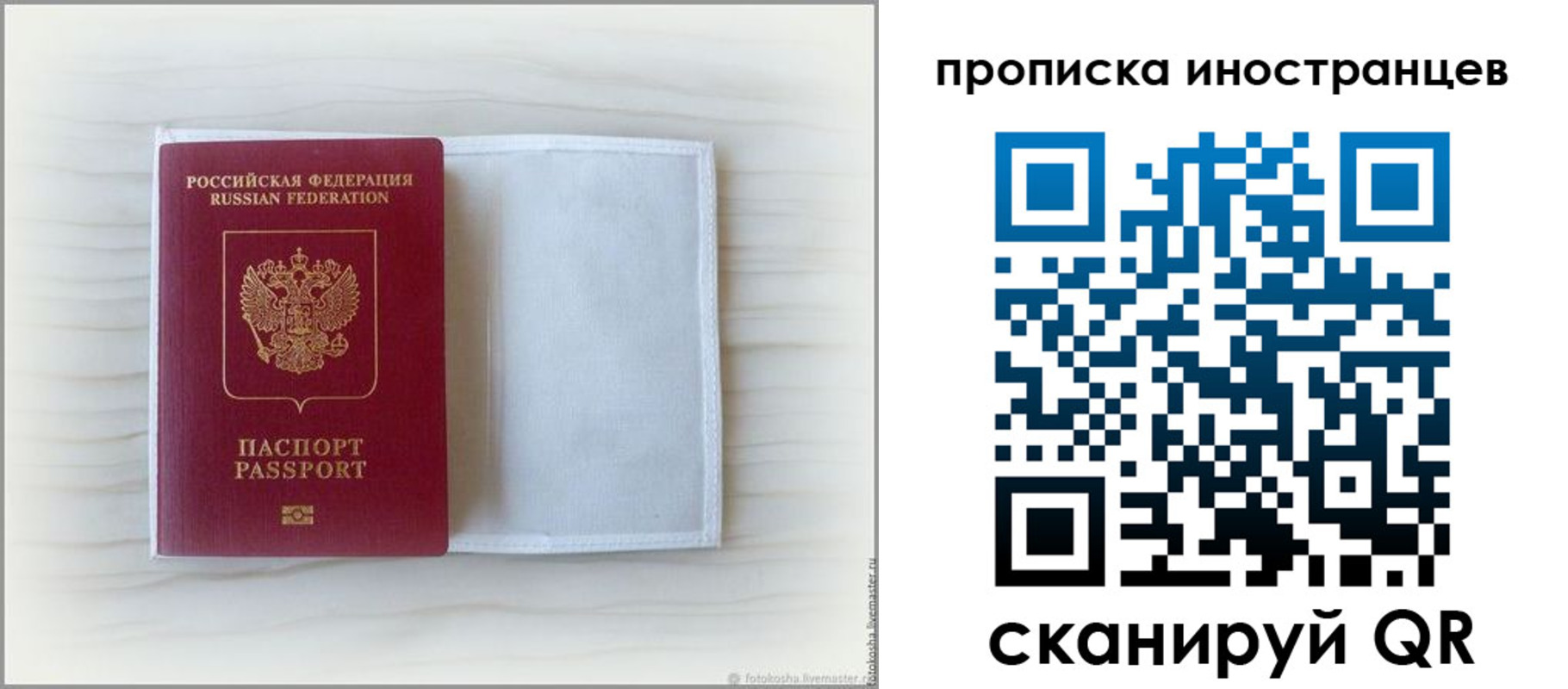 прописка гарантия в Волгограде